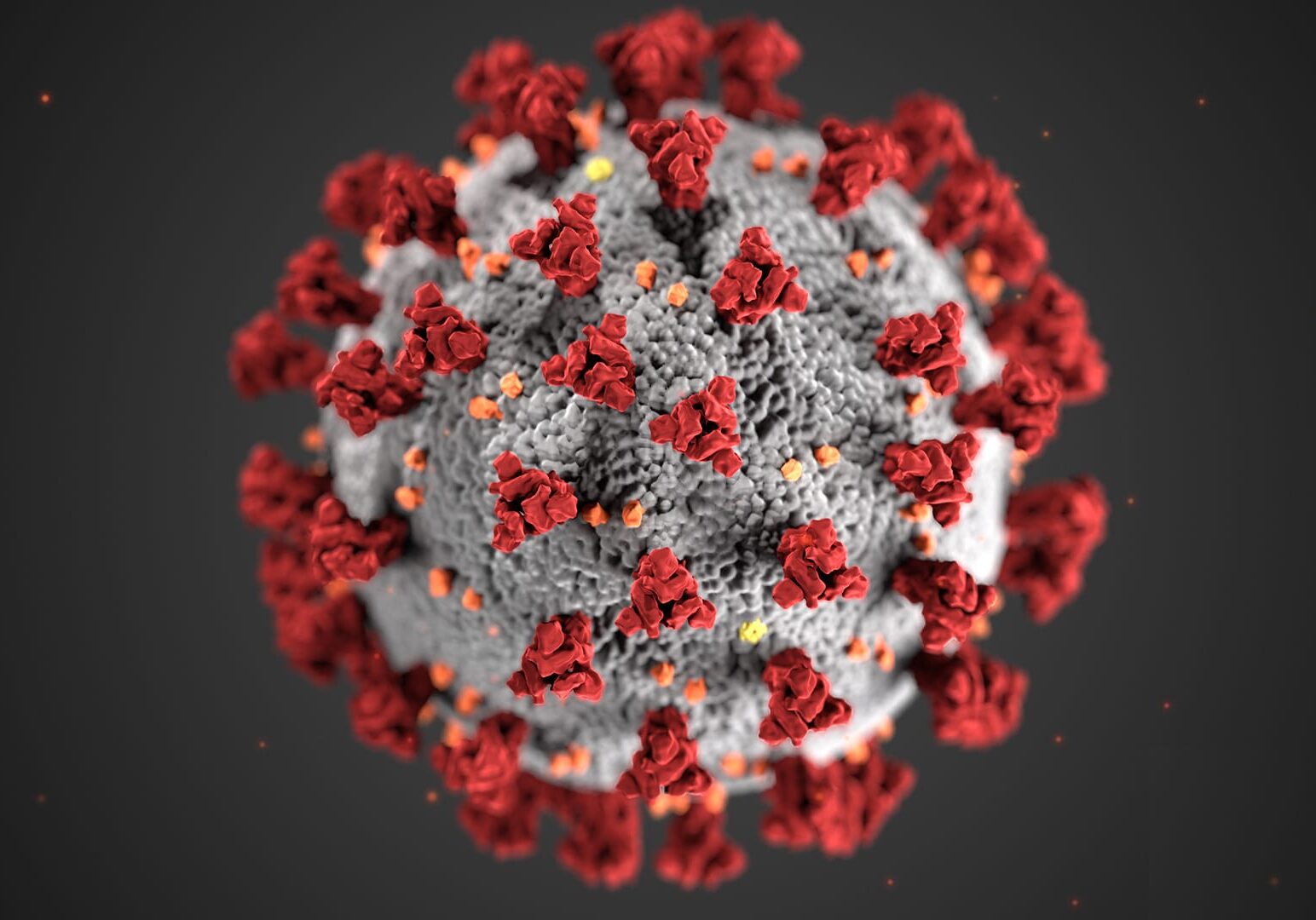 corovirus